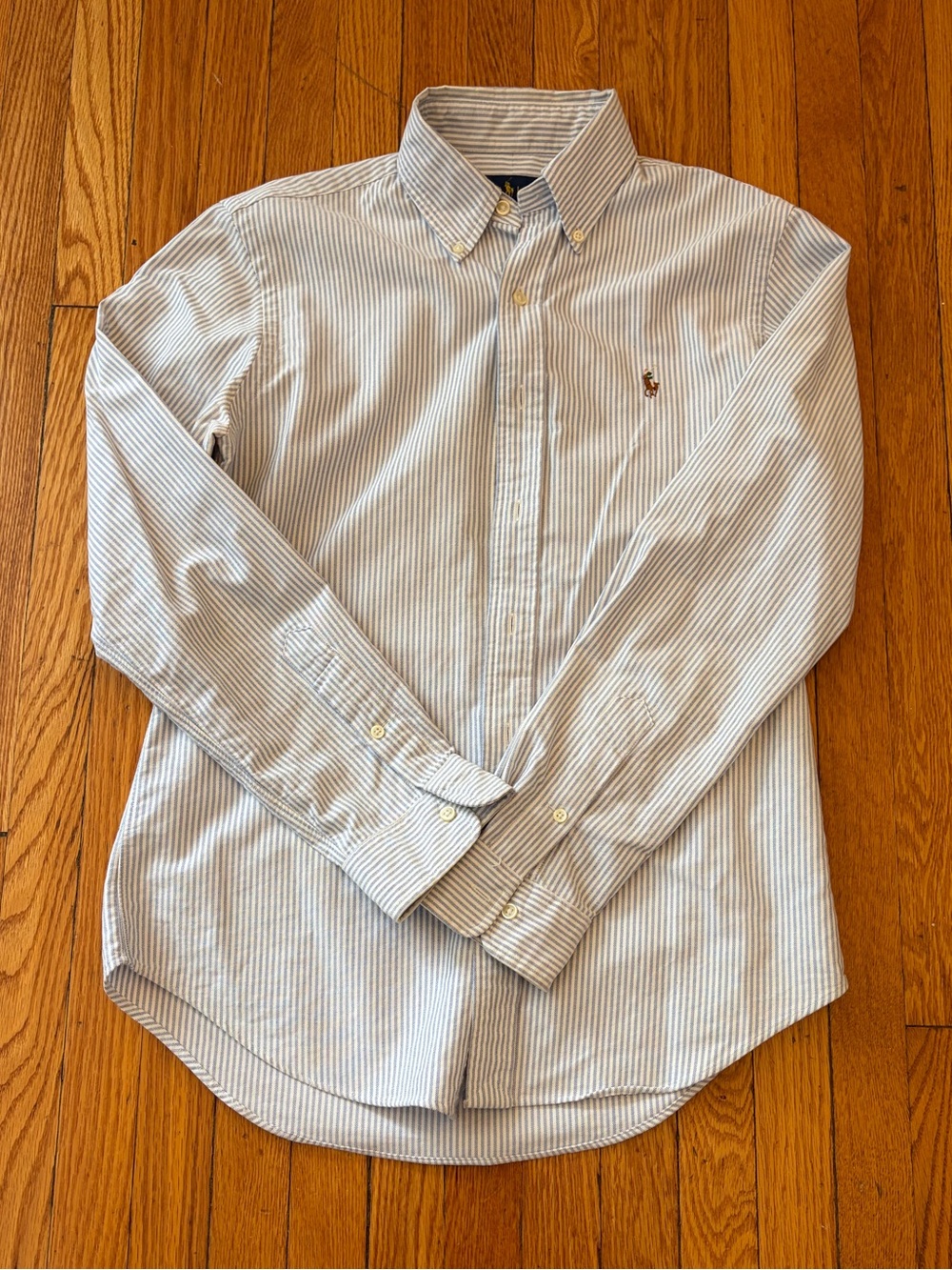 Polo by Ralph Lauren Men's Blue Stripe Oxford Button-Down Shirt